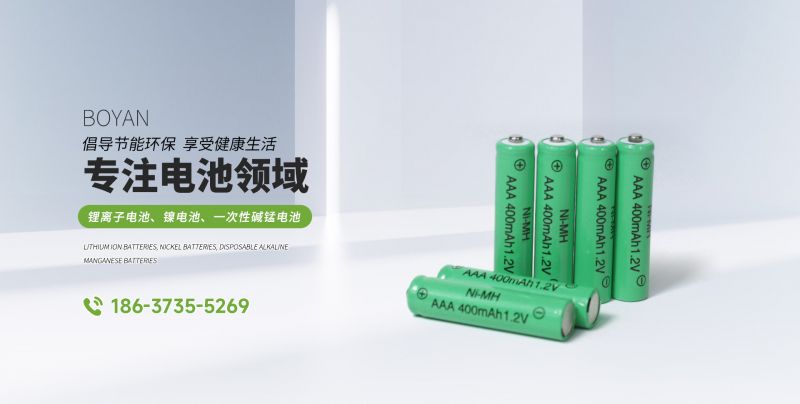 Ni-MH AA100 1.2V 产品说明